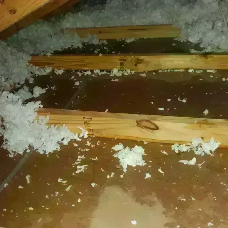 Attic Water Damage in South Lake Tahoe, CA