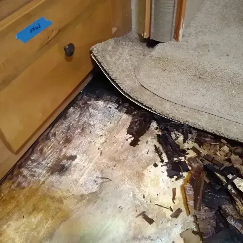 Wood Floor Water Damage in South Lake Tahoe, CA